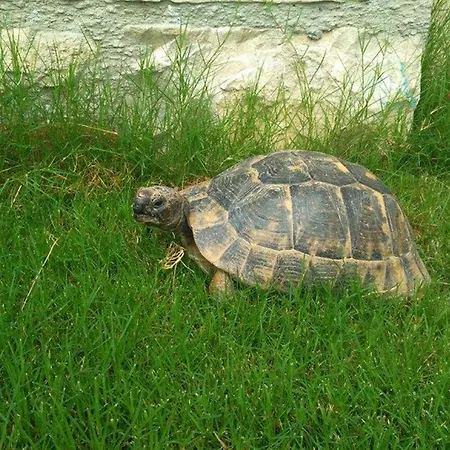 Hotel Sezgin Boutique *