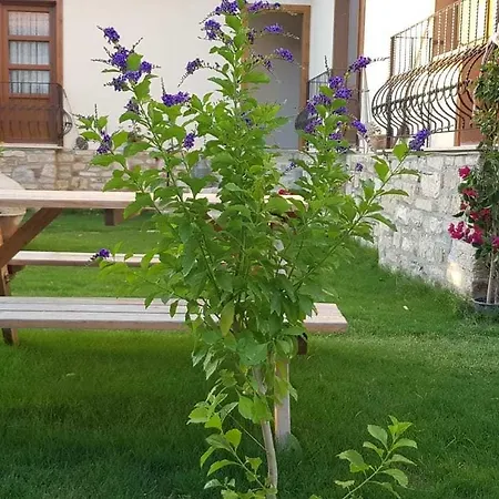 Sezgin Boutique Kusadası